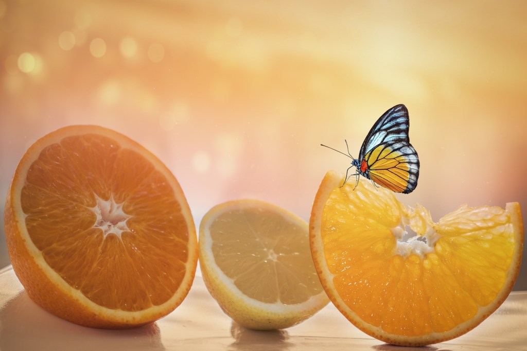 Tranches de citron et d'orange